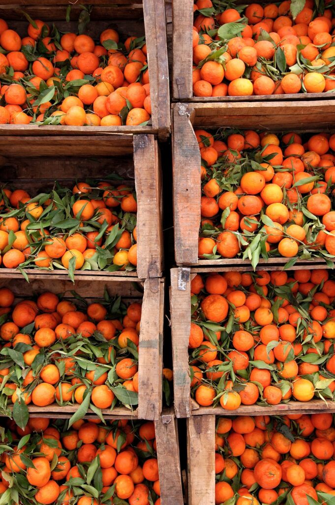 Frisch geerntete Orangen auf einem Markt in Boumalne du Dades, Marokko