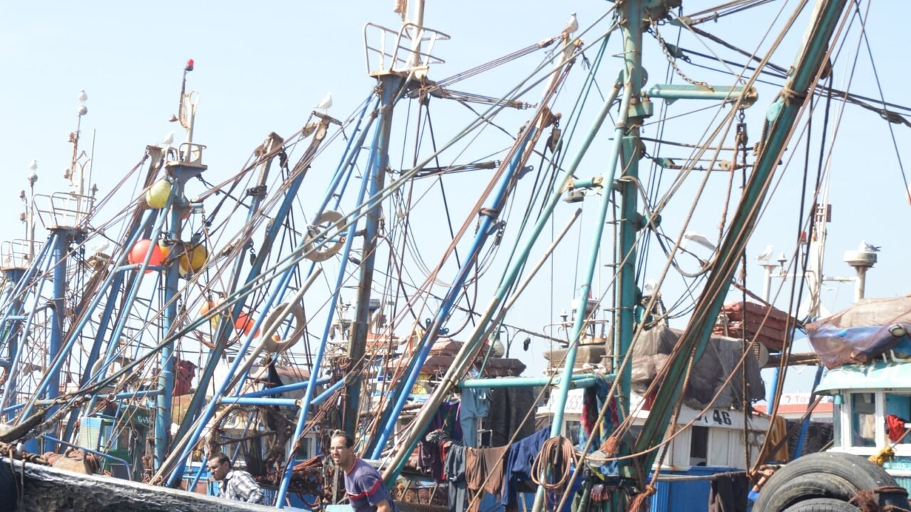 Sardinen-Fischerboote im Hafen von Essaouira, Marokko