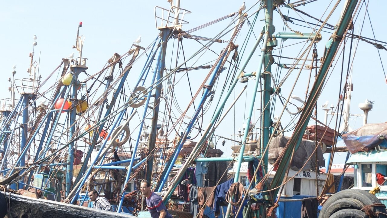 Sardinen-Fischerboote im Hafen von Essaouira, Marokko