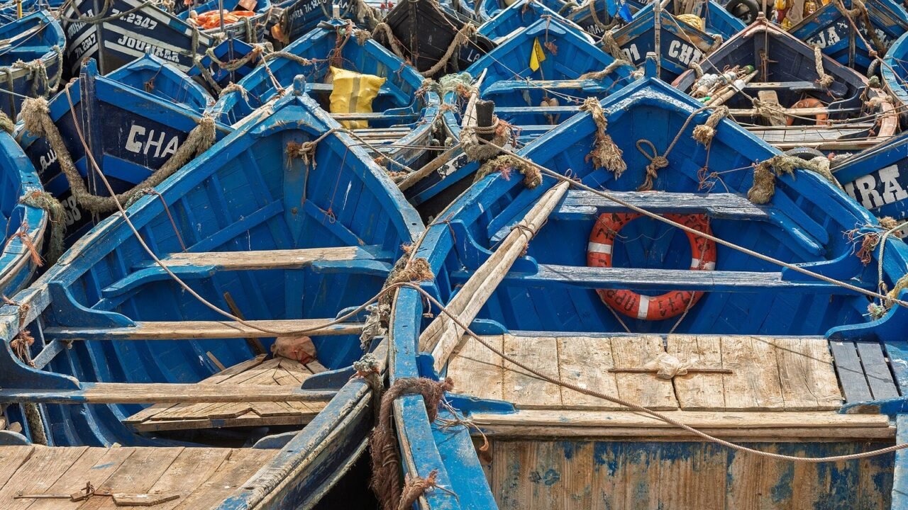 Dicht gedrängte blaue Fischerboote im Hafen von Essaouira