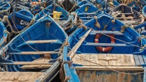 Dicht gedrängte blaue Fischerboote im Hafen von Essaouira