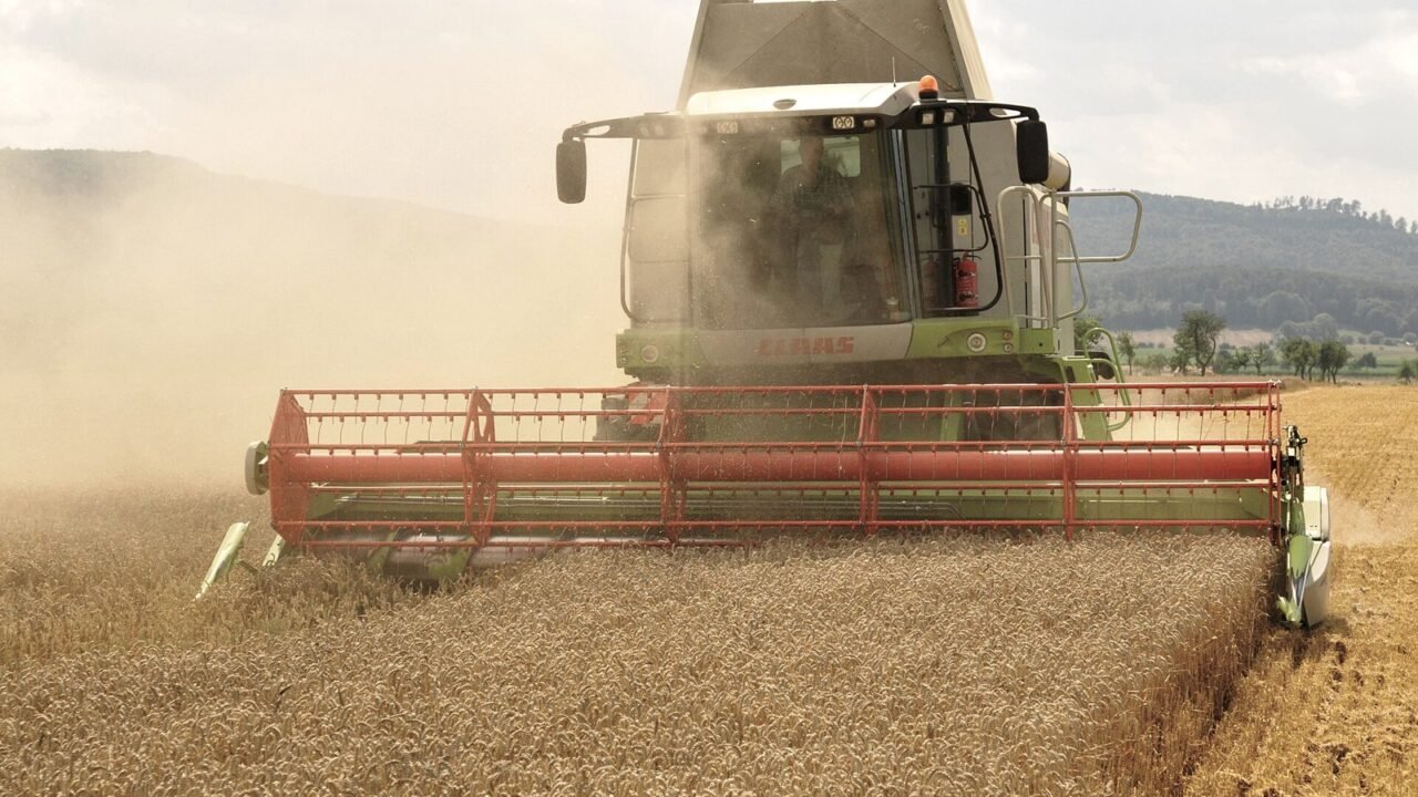 Mähdrescher erntet Weizen auf einem Feld (Symbolbild)